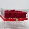 Eternity Collection | 16 Rose - Imagen 2
